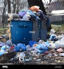 Best Yard Waste Removal  in Iowa Park, TX