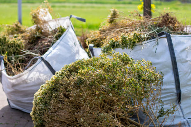 Best Hoarding Cleanup  in Iowa Park, TX